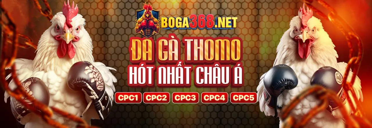Chương trình VIP 118 Bet App với các ưu đãi độc quyền